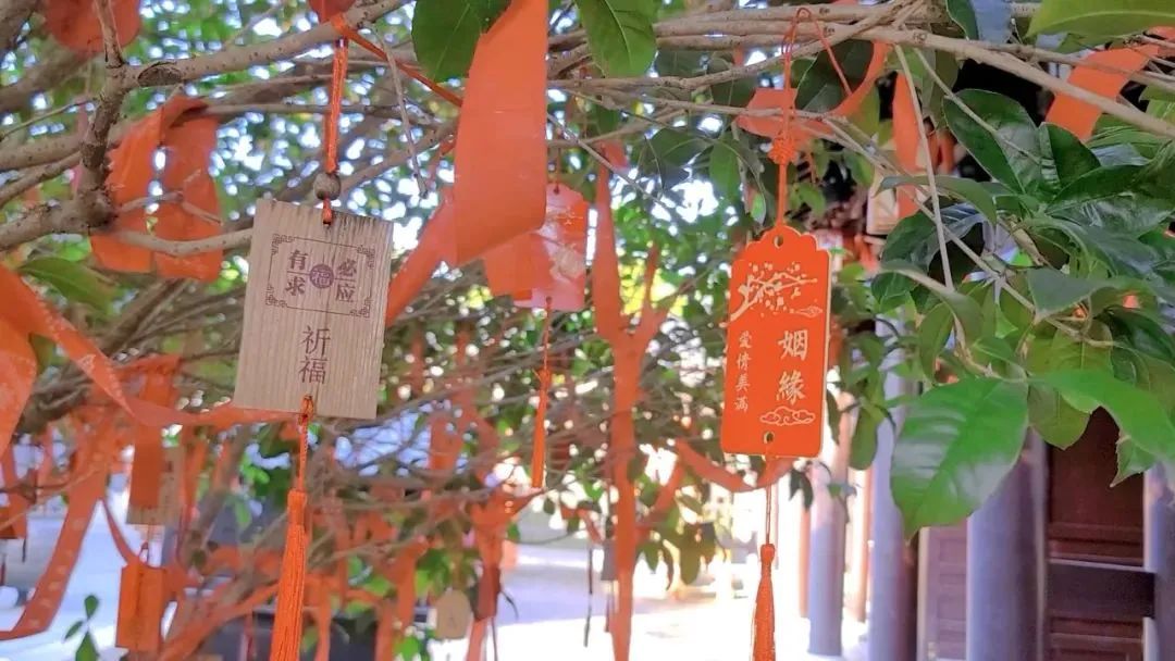 1681696538170620.jpg 微信图片_20230417095021.jpg