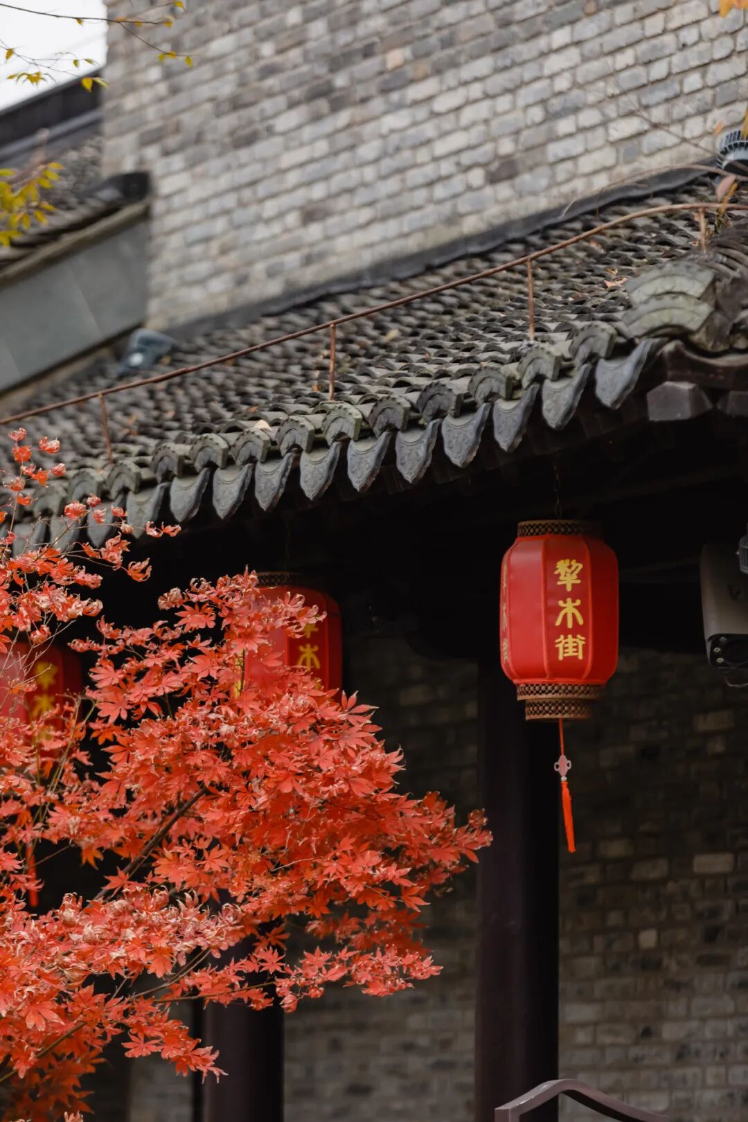 1761014922122480.jpg 640 (98).jpg