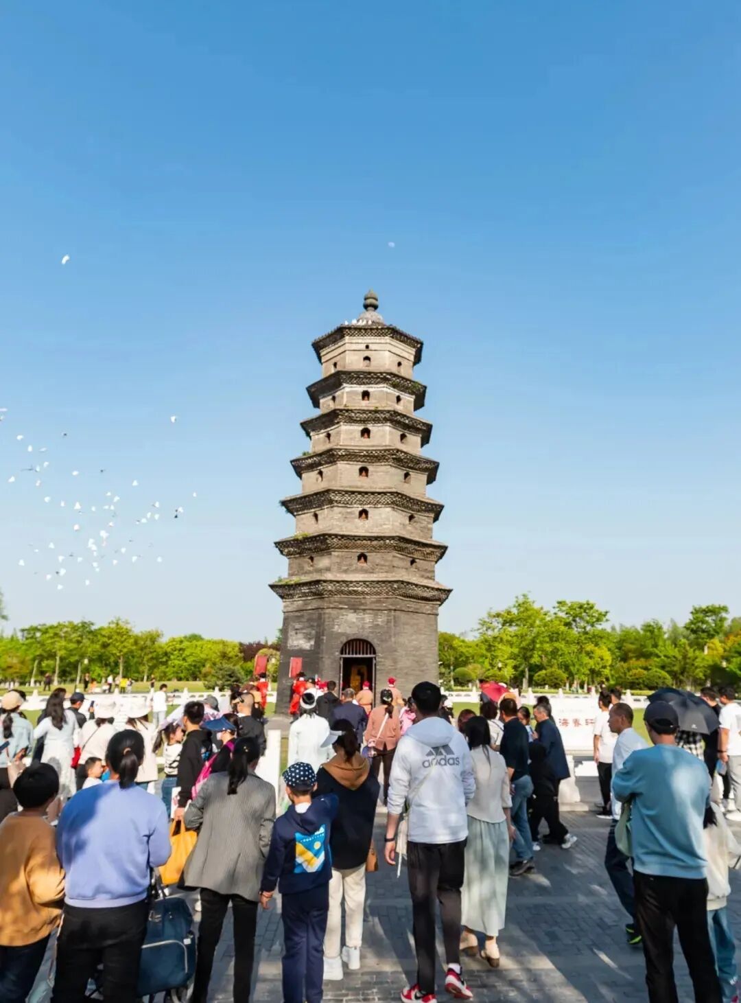 640 - 2025-11-05T113054.246.jpg