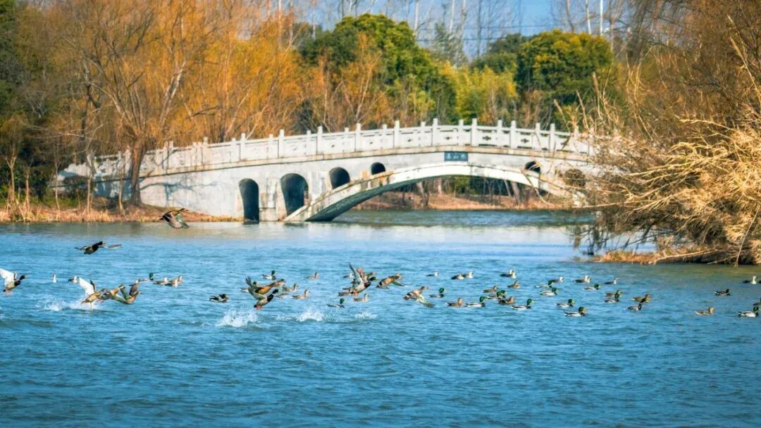 640 - 2025-11-05T113100.600.jpg