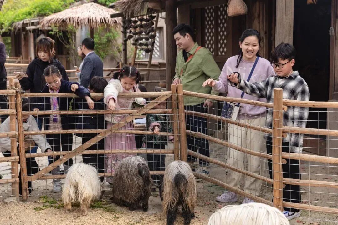 640 - 2025-11-05T113103.577.jpg