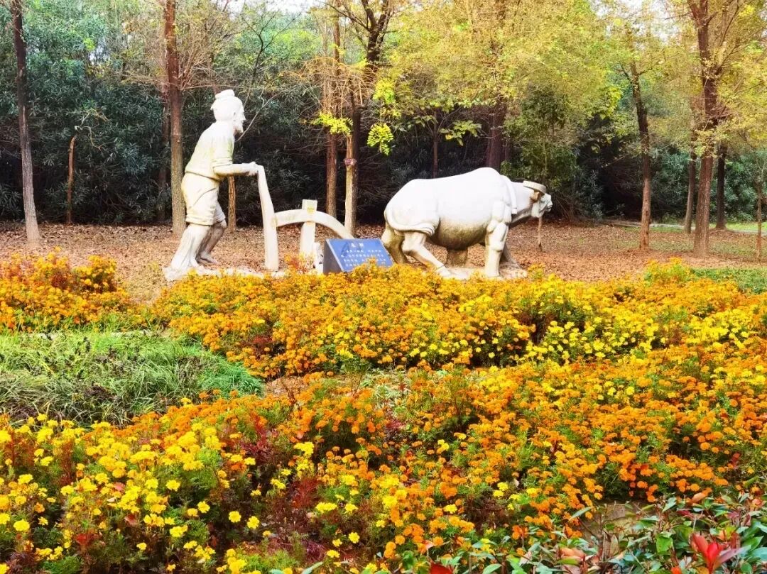 640 - 2025-11-05T113124.552.jpg