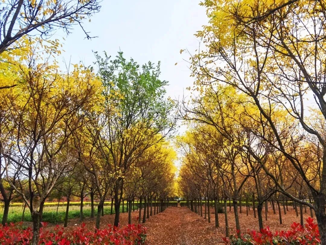 640 - 2025-11-05T113127.396.jpg