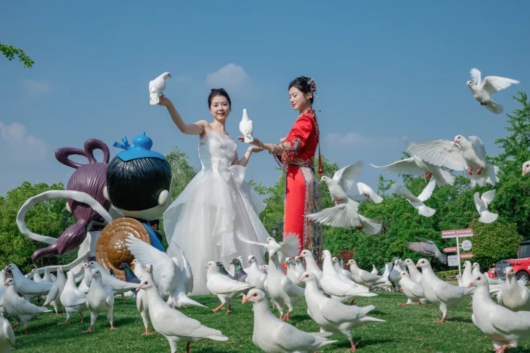 640 - 2025-11-10T110224.055.jpg