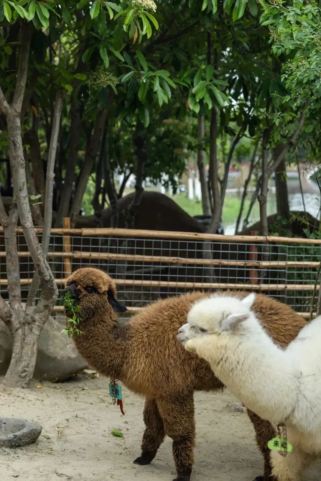 640 - 2025-11-10T110226.870.jpg