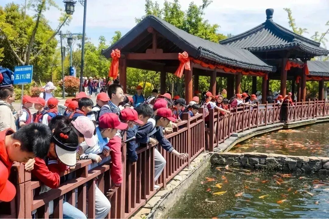 640 - 2025-11-10T110232.398.jpg