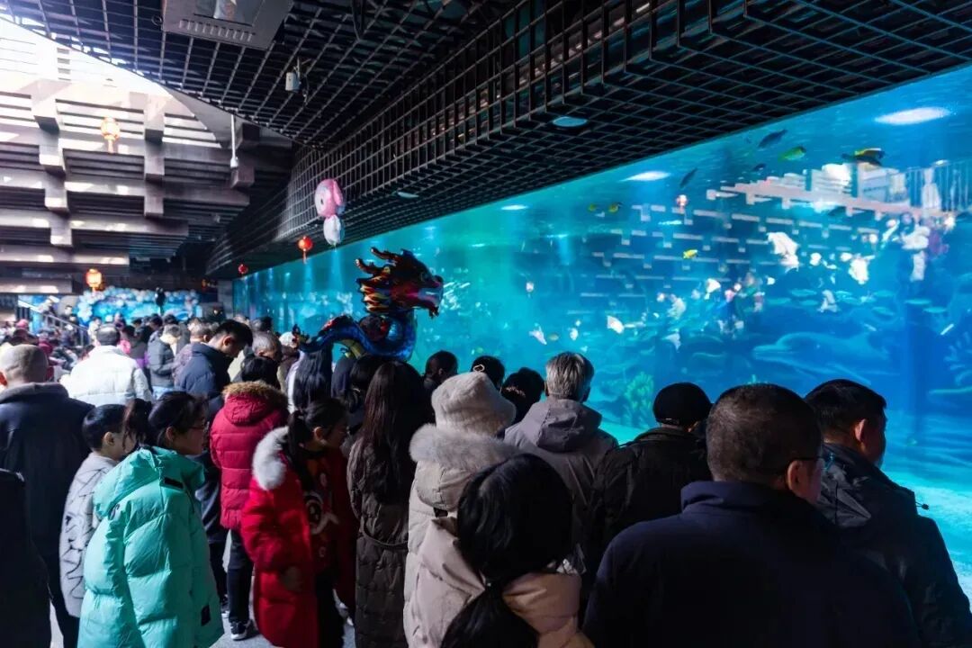 1764211311509292.jpg 640 - 2025-11-27T095358.495.jpg