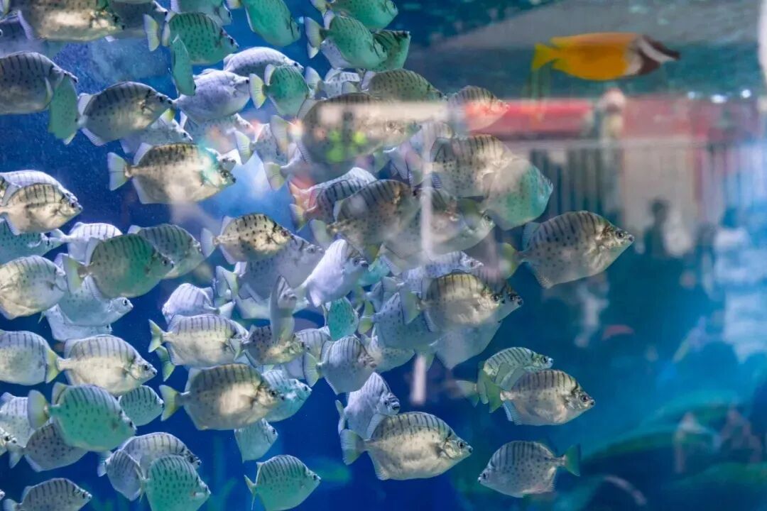 1764211368185014.jpg 640 - 2025-11-27T095401.719.jpg