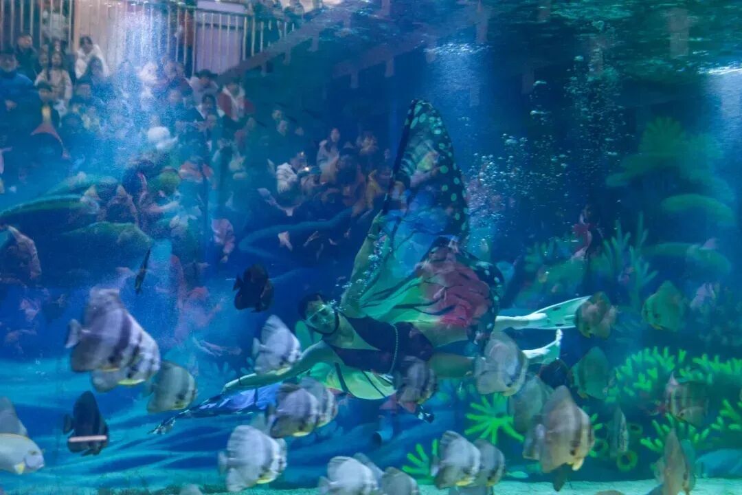 1764211436178428.jpg 640 - 2025-11-27T095404.839.jpg