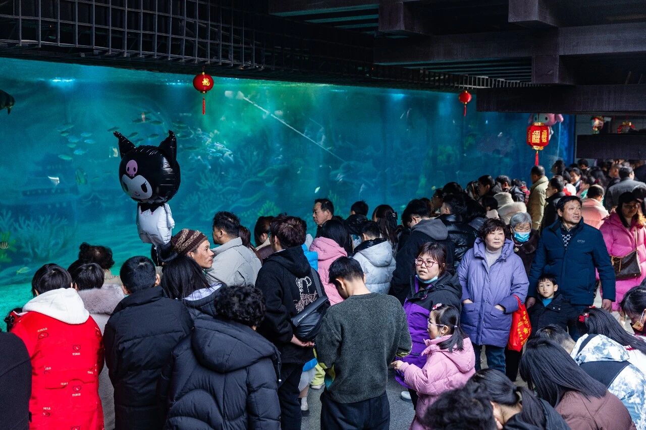 1767338050113751.jpg 微信图片_2026-01-02_150422_151.jpg