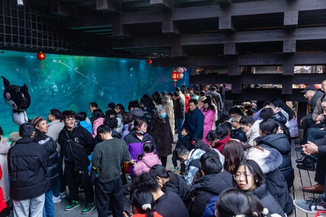 1767931475239227.jpg 640 (11).jpg