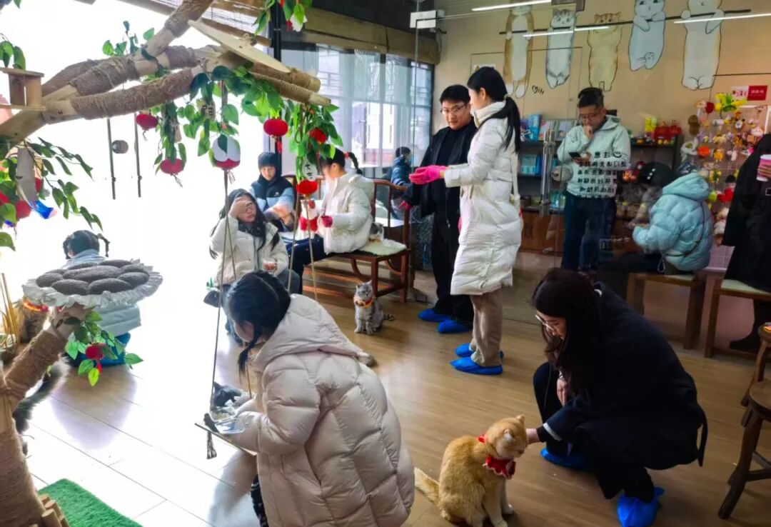 1772418578170130.jpg 640 (27).jpg