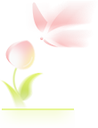 640 (8).png